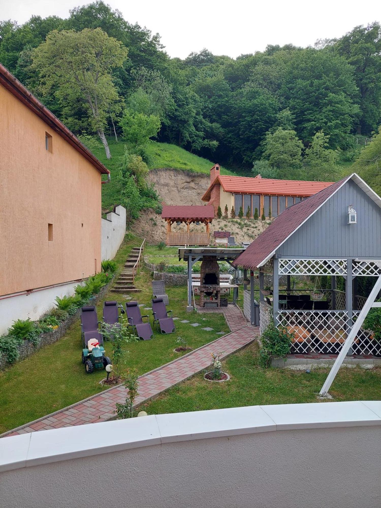 Casa Marian Otel Sighişoara Dış mekan fotoğraf